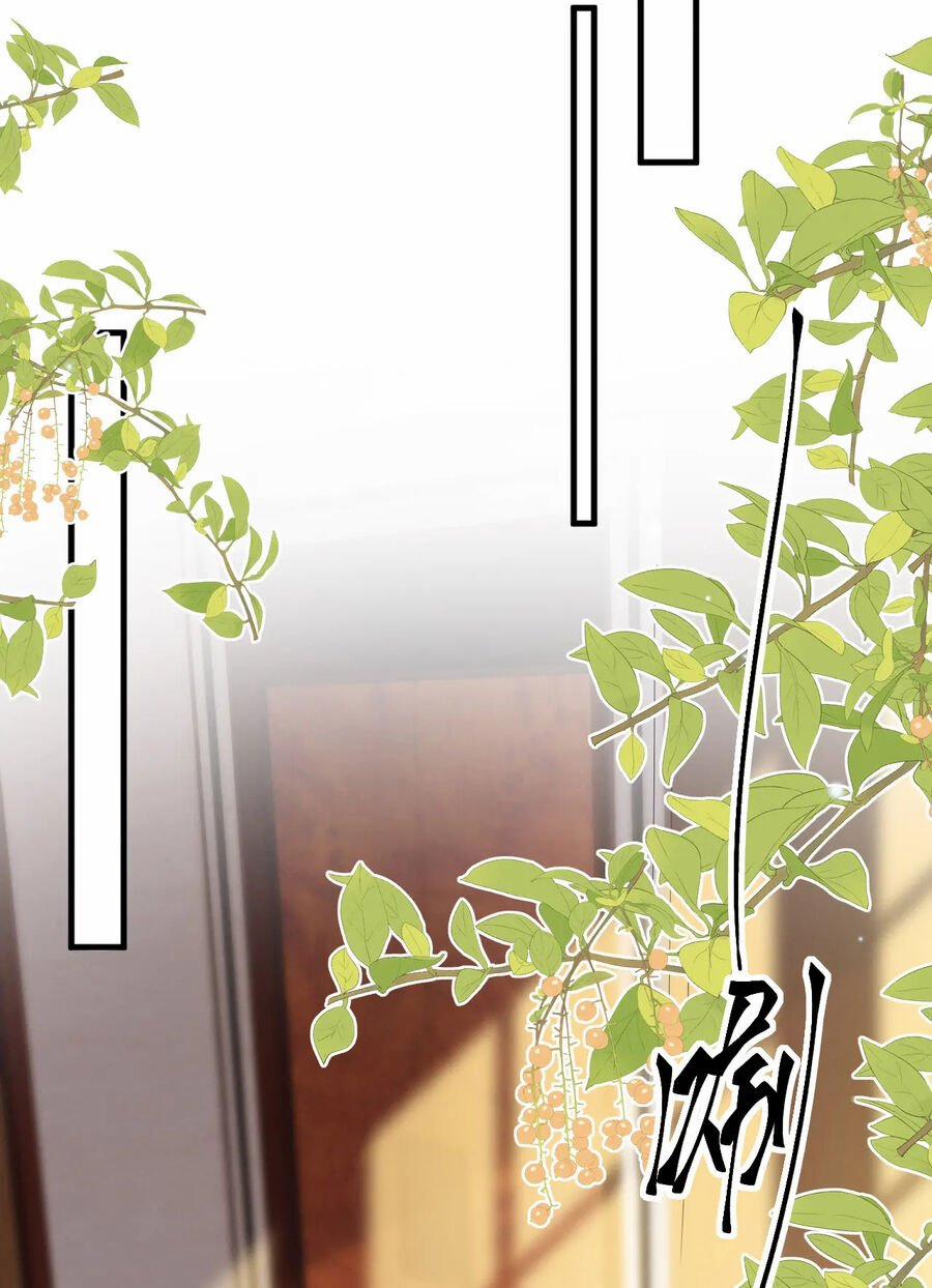 Sống Chung Với Đại Tỷ Ma Cà Rồng 28 trang 35