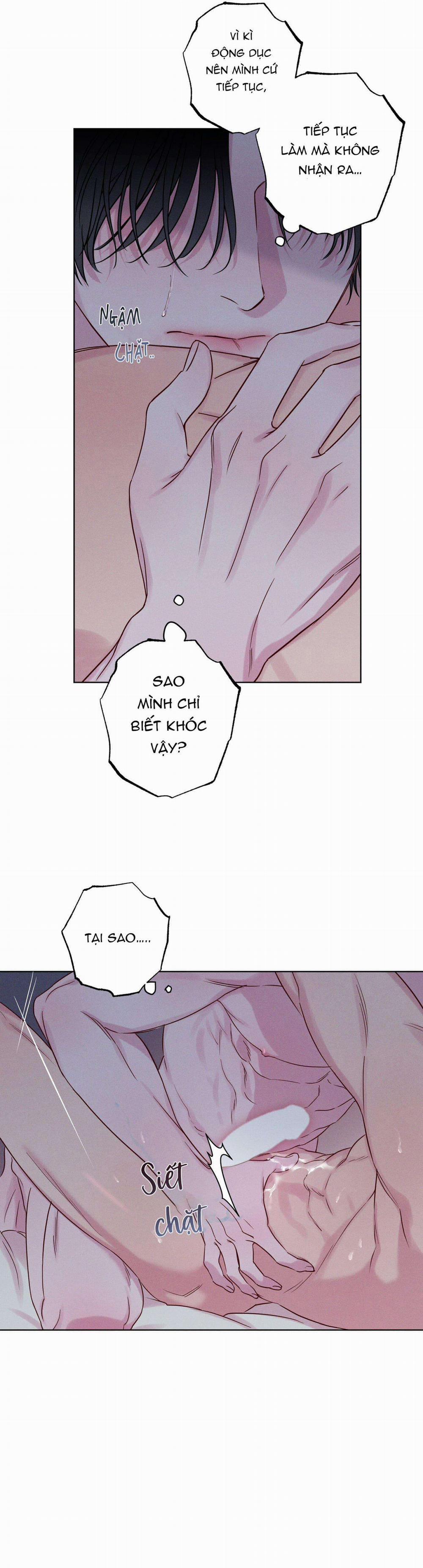 SÓNG ÔM BỜ CÁT 0 H++ NGANG RAW trang 22