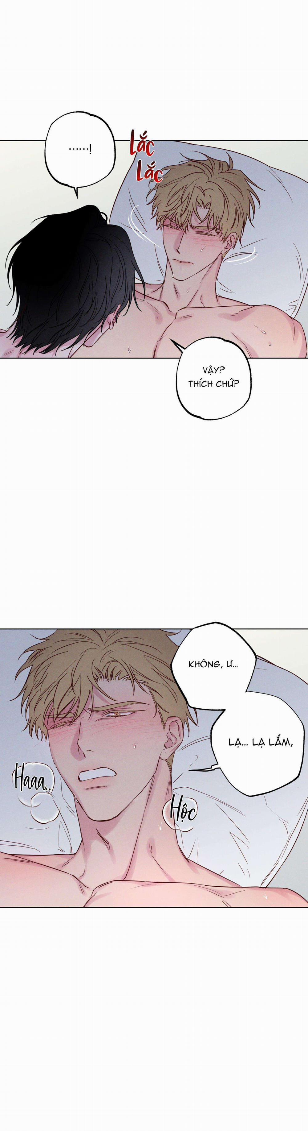 SÓNG ÔM BỜ CÁT 0 H++ NGANG RAW trang 5