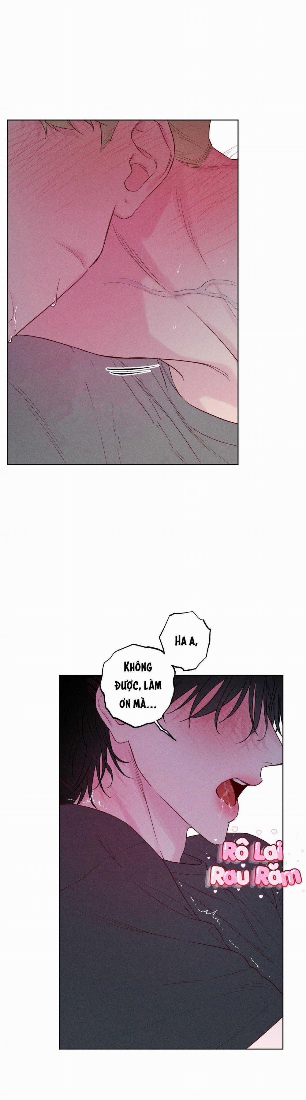 SÓNG ÔM BỜ CÁT 32 trang 13