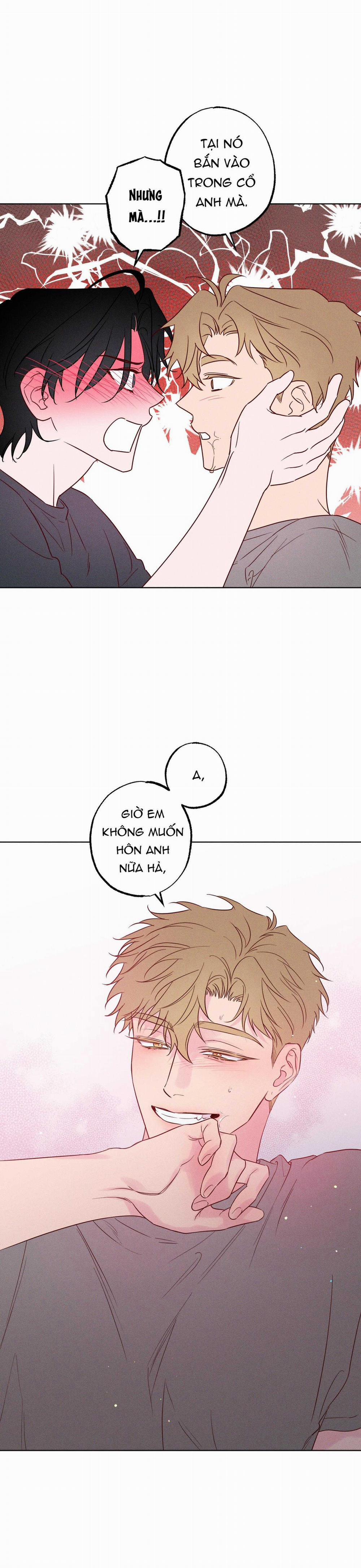 SÓNG ÔM BỜ CÁT 32 trang 17