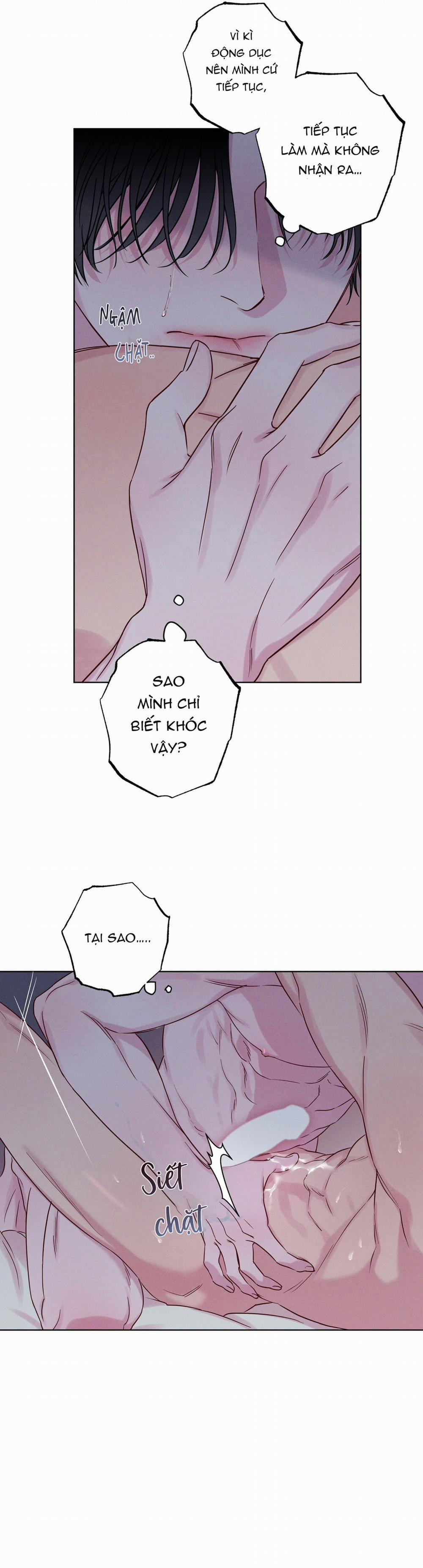 SÓNG ÔM BỜ CÁT 6 H++ NGANG RAW trang 22