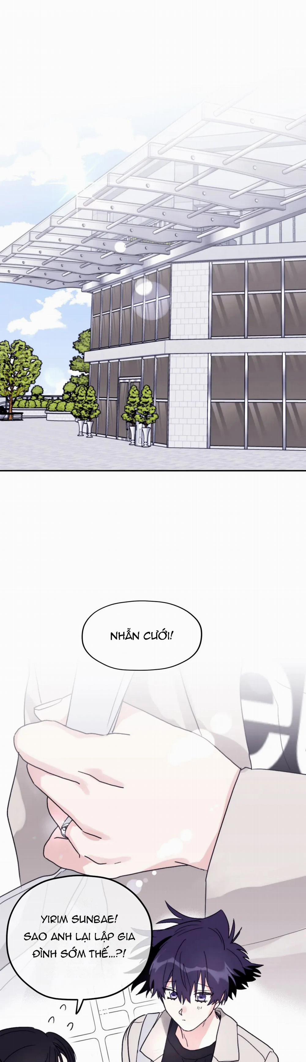 Sóng Tìm Em 40.1 trang 14