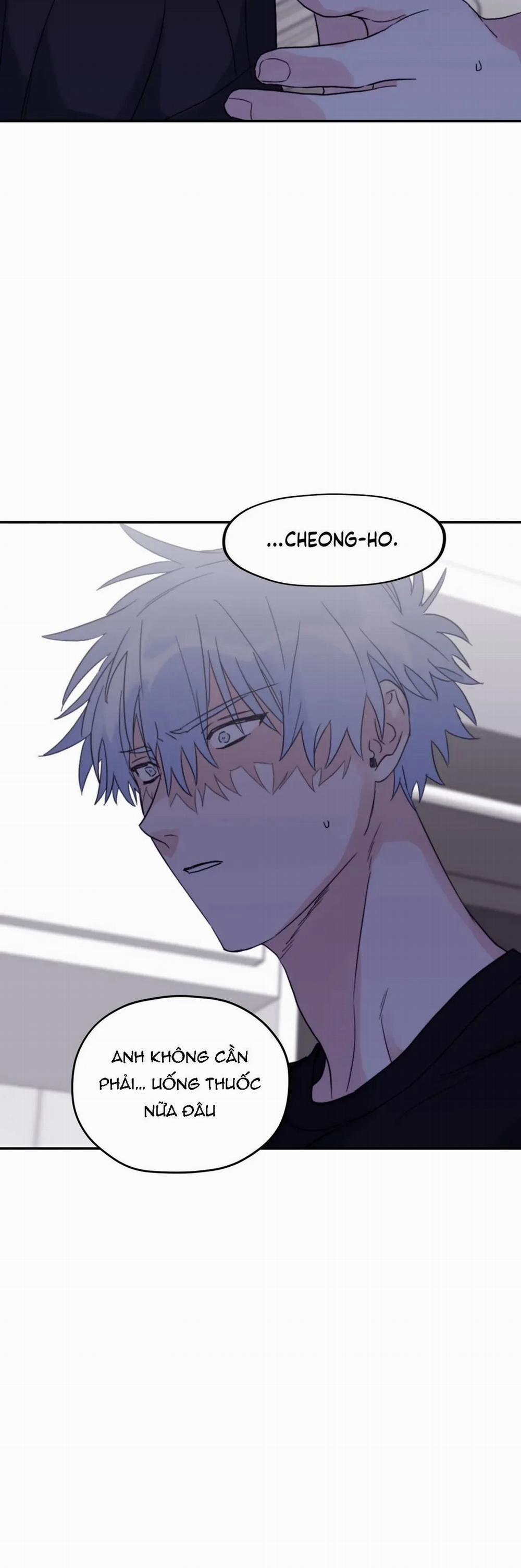 Sóng Tìm Em 43.2 trang 7