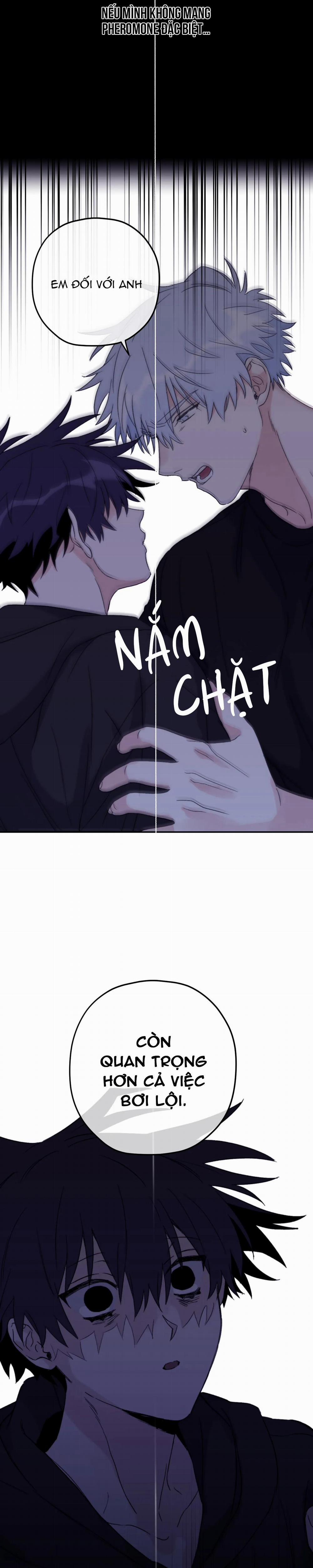 Sóng Tìm Em 43 trang 19