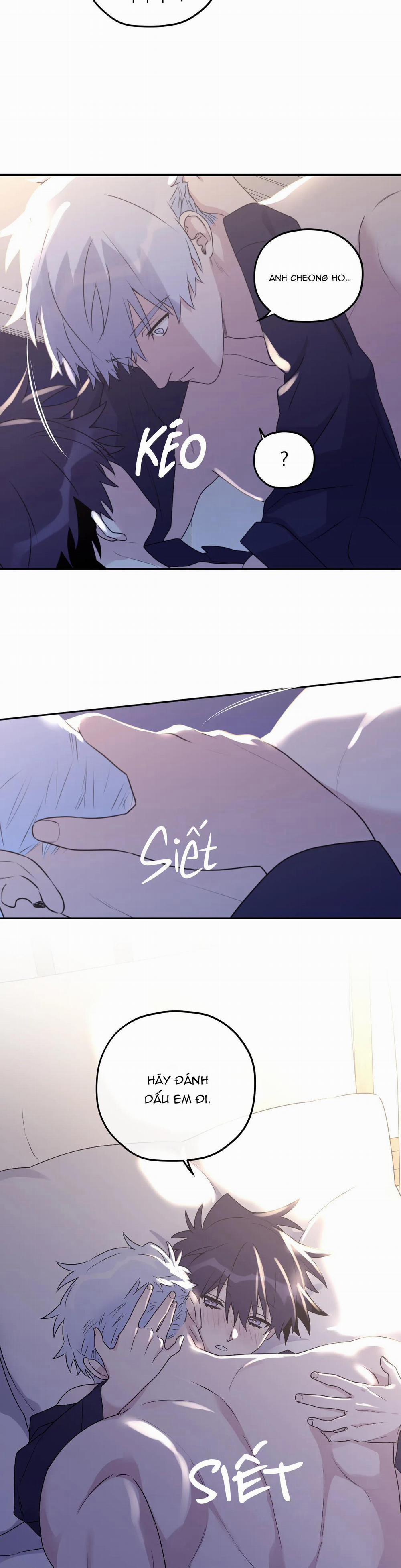 Sóng Tìm Em 54 Ngoại truyện 4 trang 15