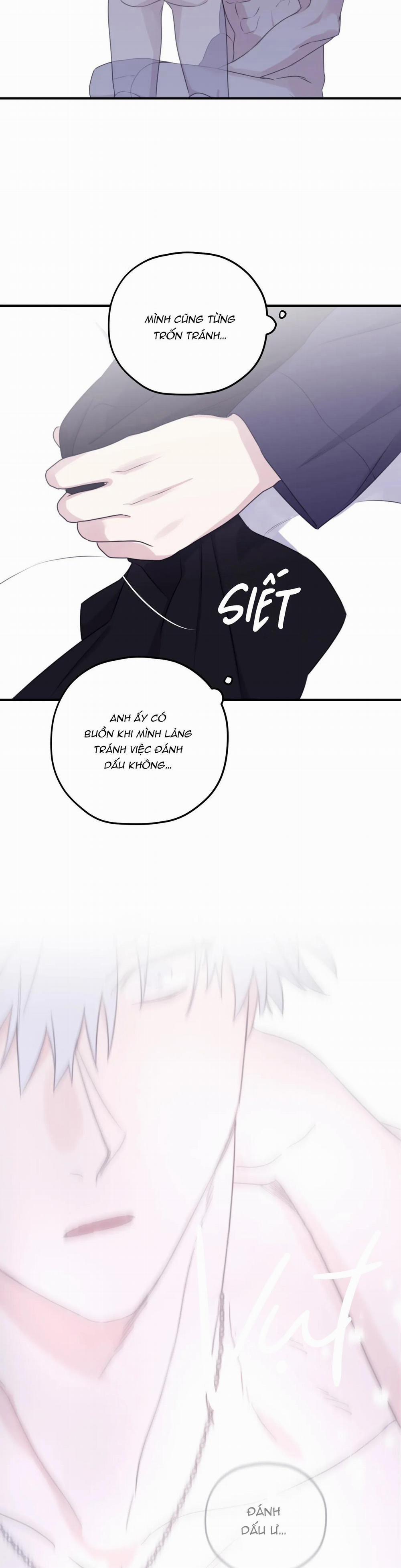 Sóng Tìm Em 54 trang 24