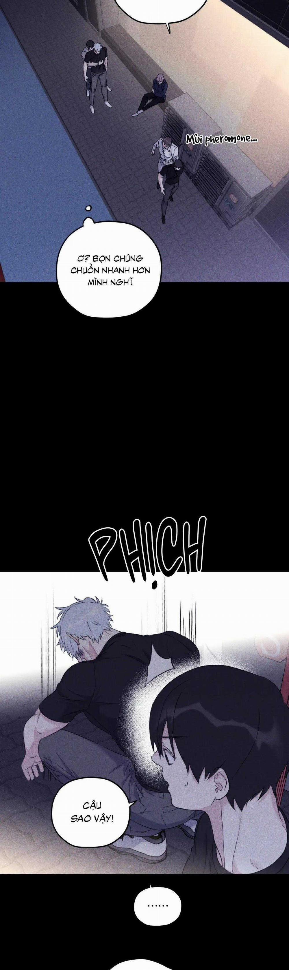 Sóng Tìm Em 65 trang 33