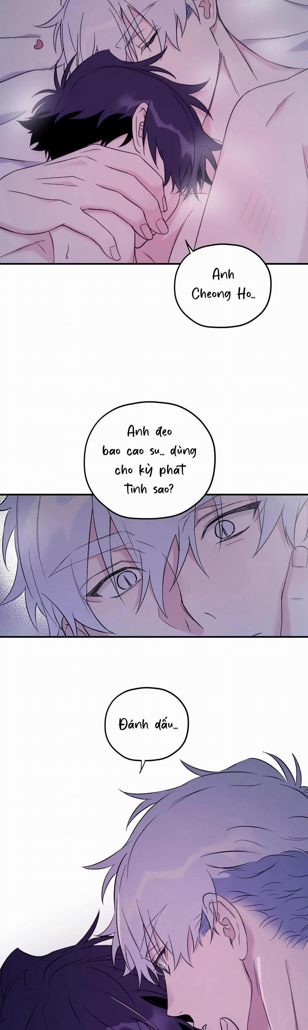 Sóng Tìm Em 66 trang 24