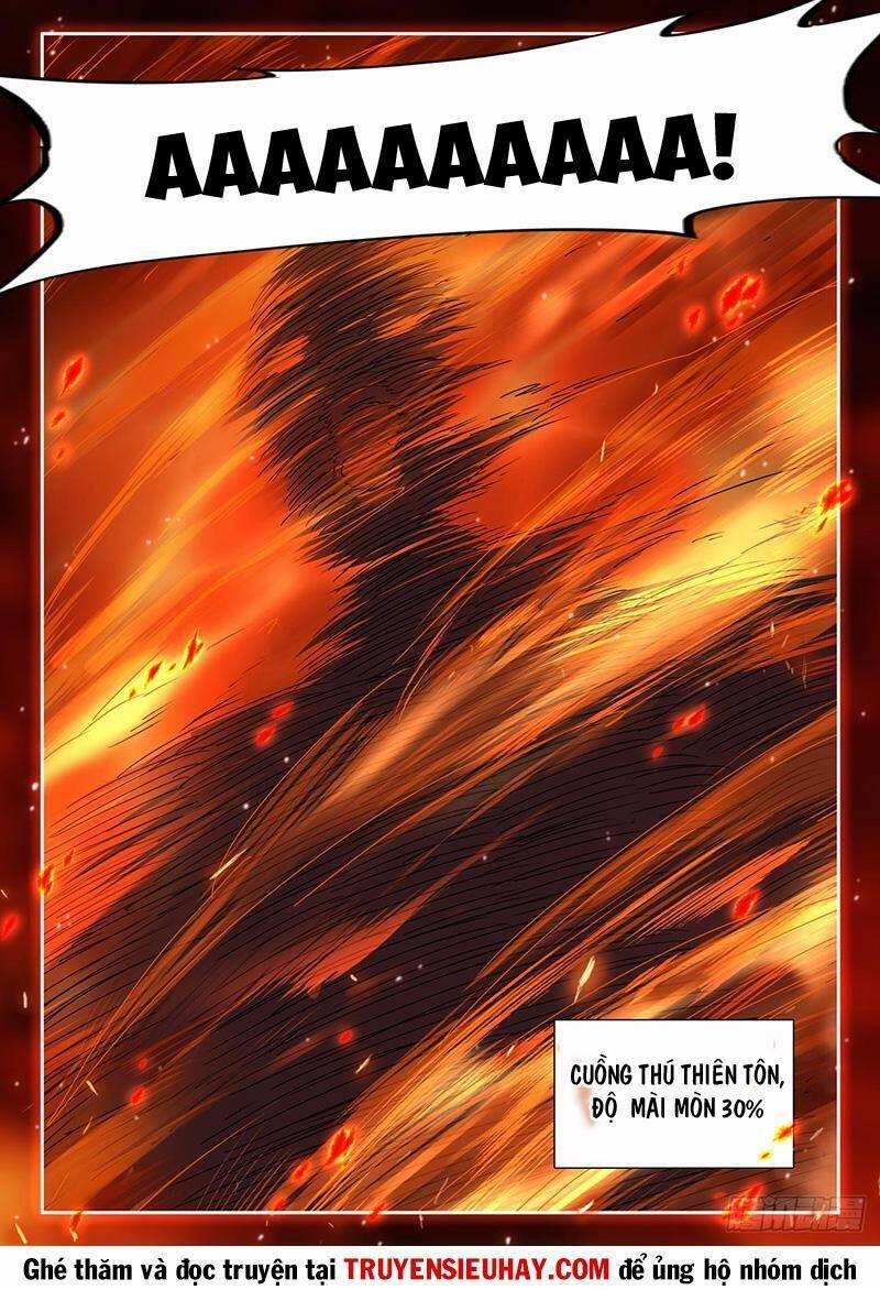 Song Tu Đạo Lữ Của Tôi 747 trang 11