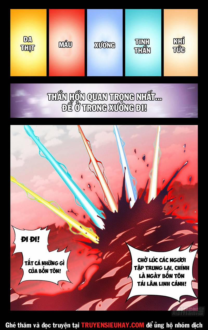 Song Tu Đạo Lữ Của Tôi 772 trang 11