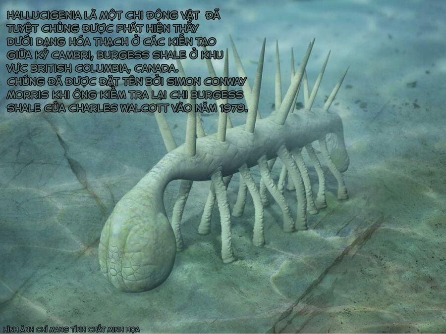 Spis, Nhân Viên Bán Hàng 3 trang 4