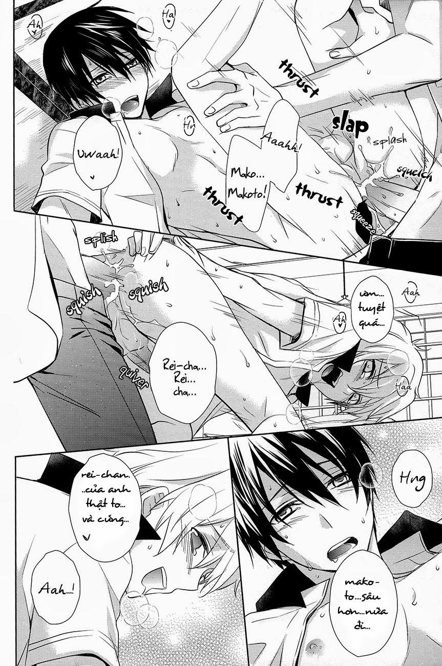 Splash Honey (Free!) Chương Oneshot Trang 13