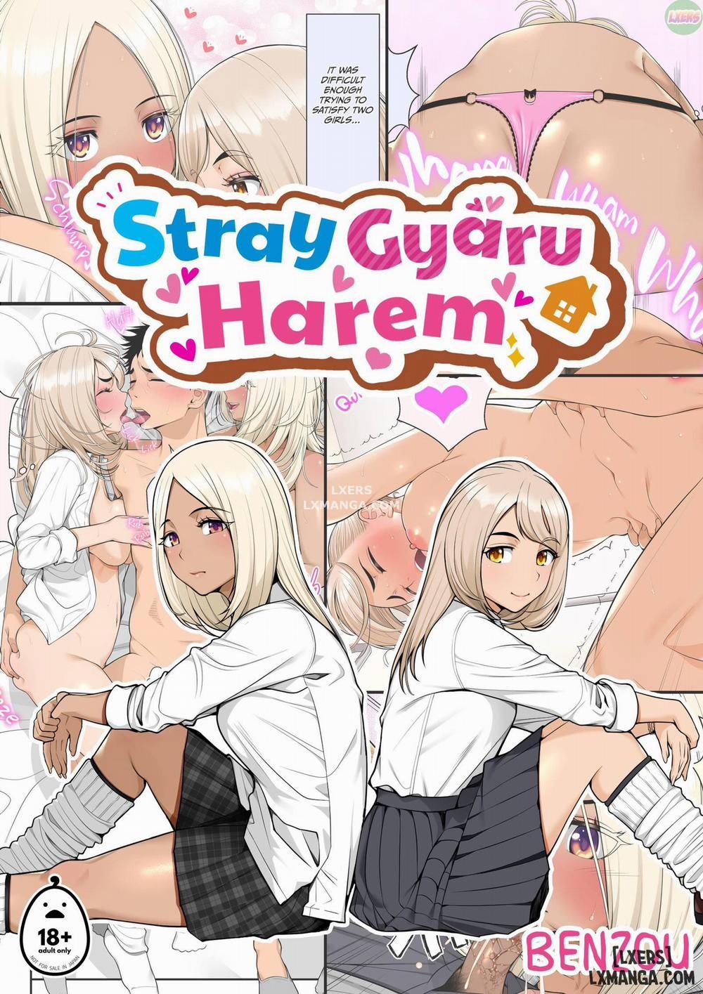 Stray Gyaru Harem Chương 1 Trang 1