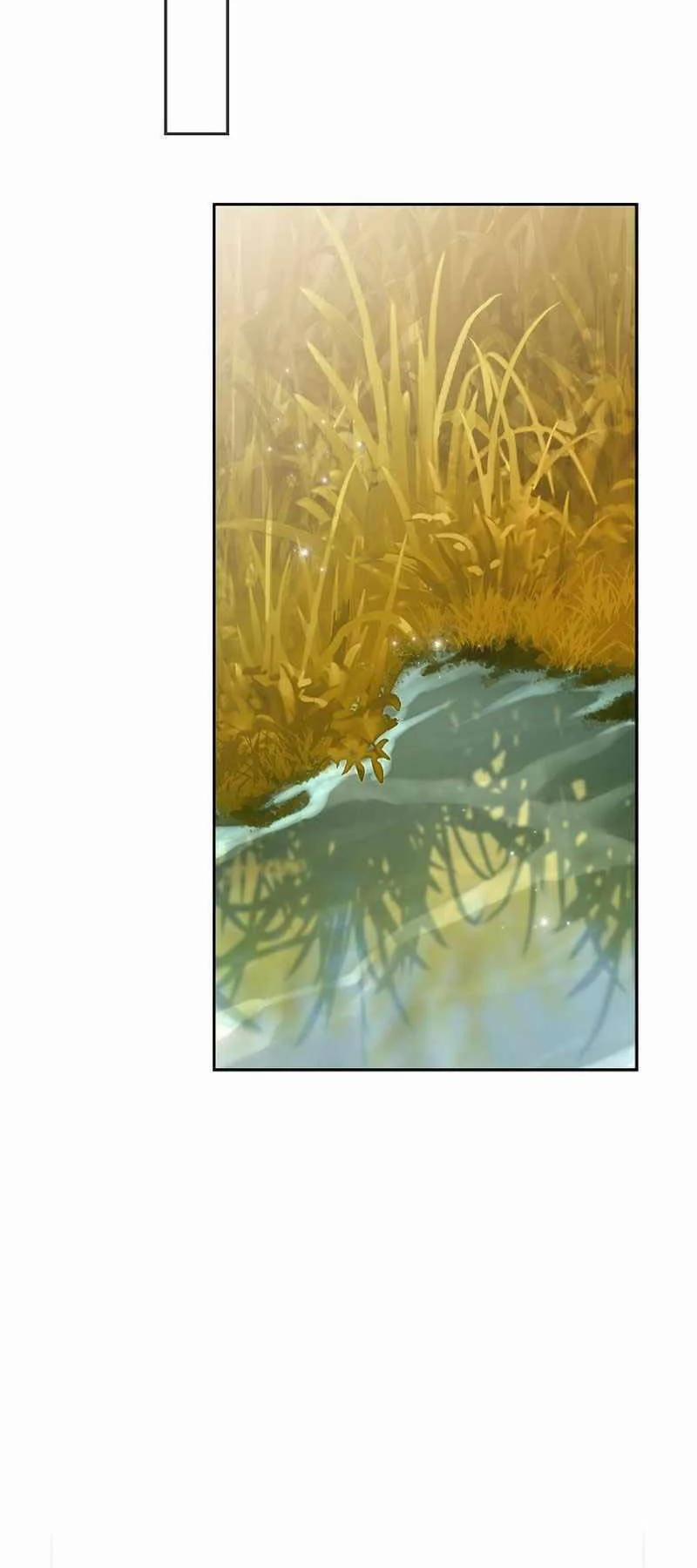 Stream Của Cung Thủ Thiên Tài 21 trang 68