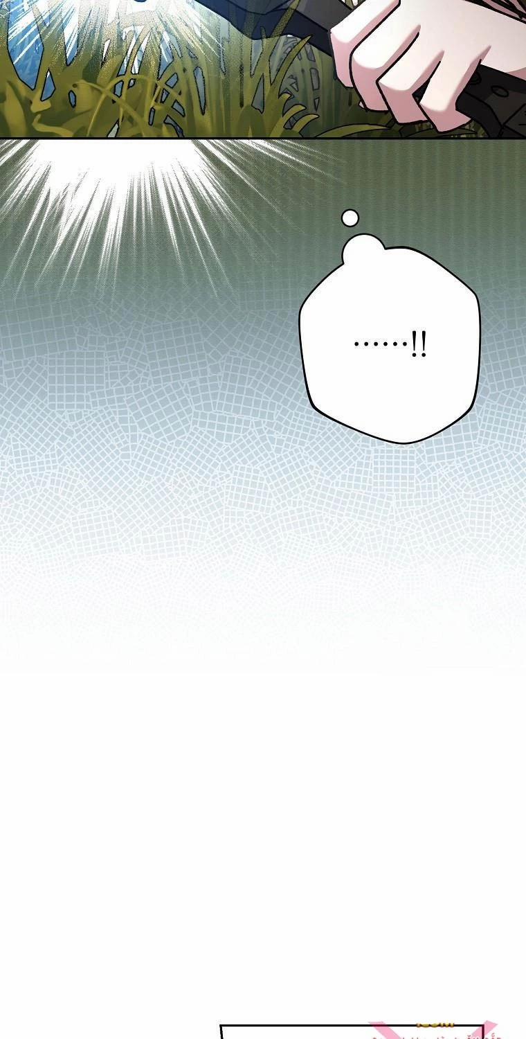 Stream Của Cung Thủ Thiên Tài 35 trang 29