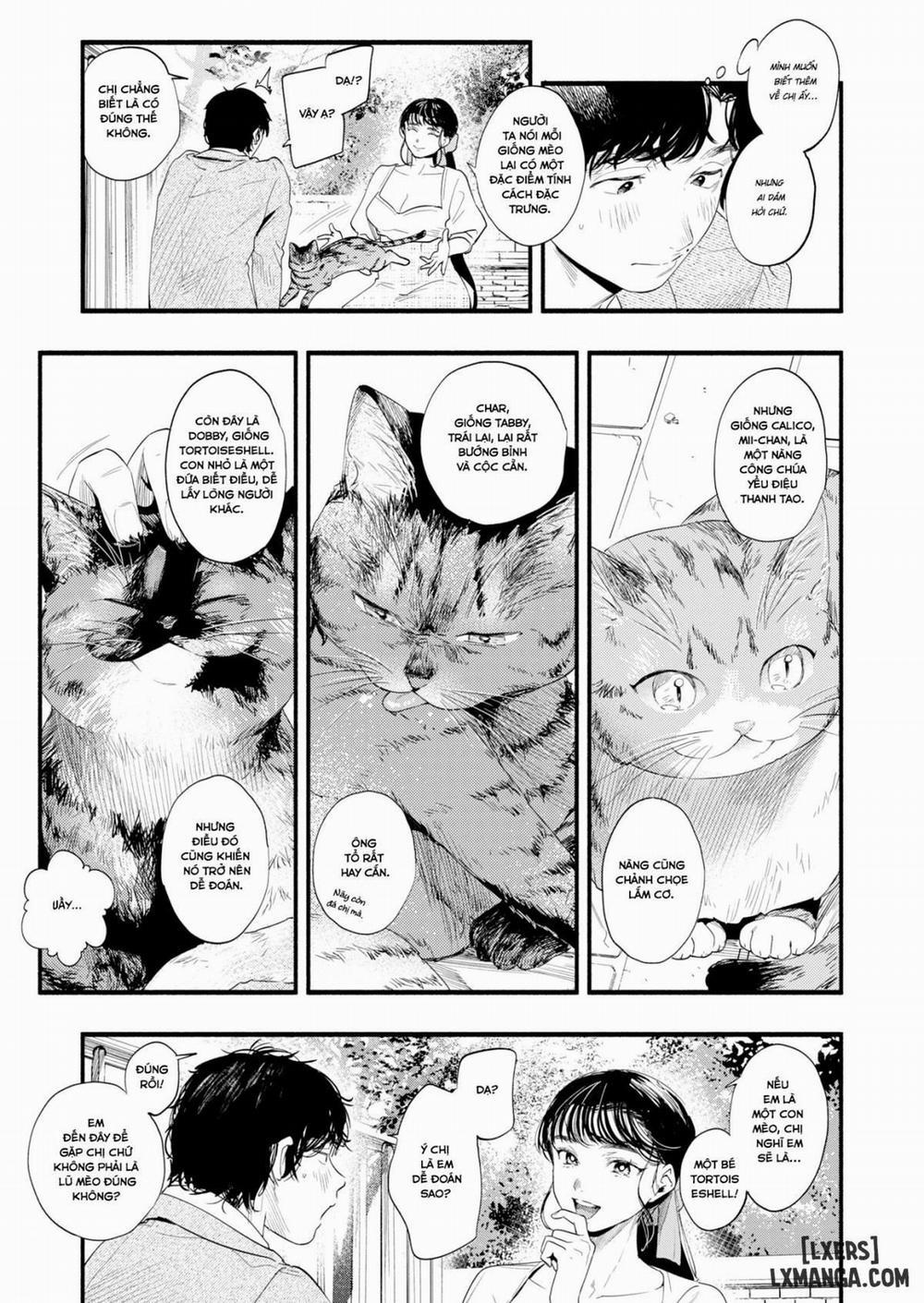 Studying Misuzu Chương Oneshot Trang 3