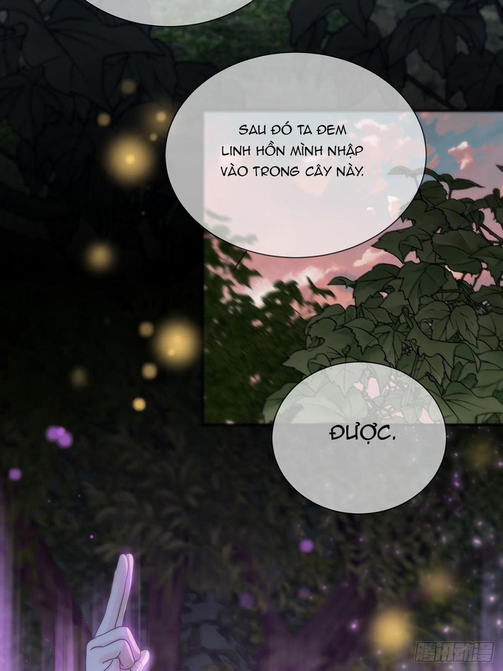 Sự Chiếu Cố Của Thần Linh (END) 25 trang 28