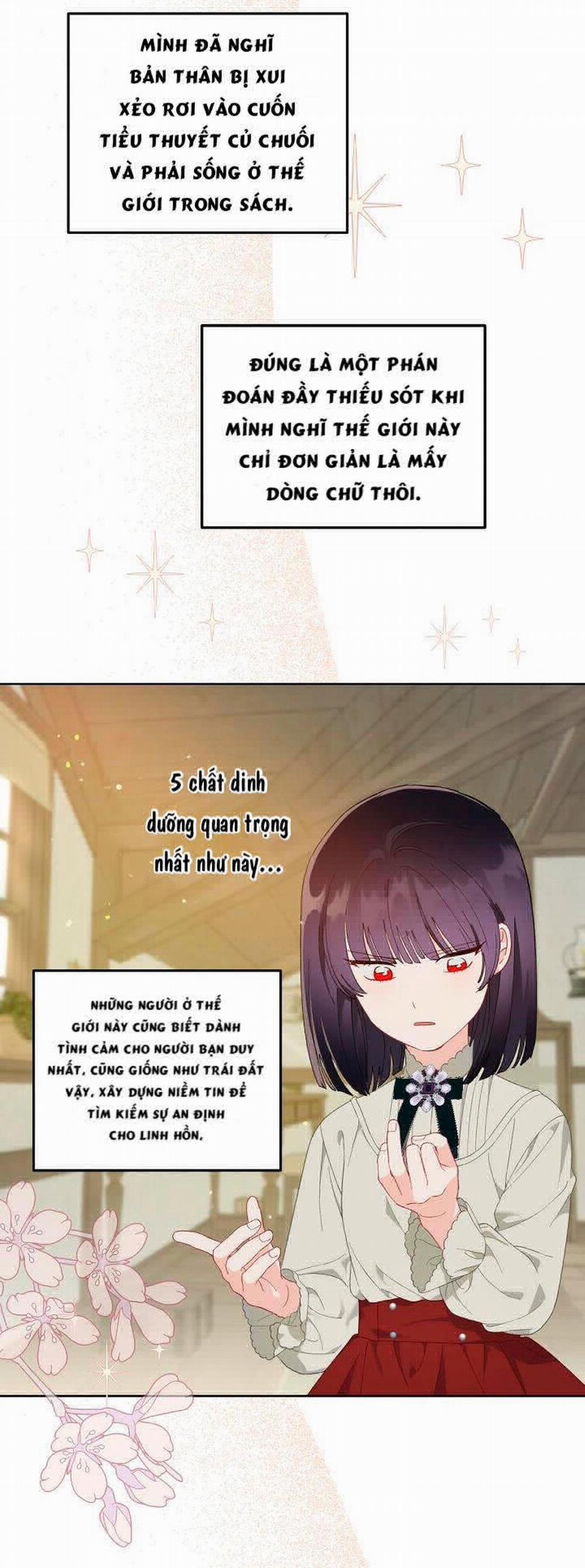 Sự Điều Trị Đặc Biệt Của Tinh Linh 15.5 trang 3
