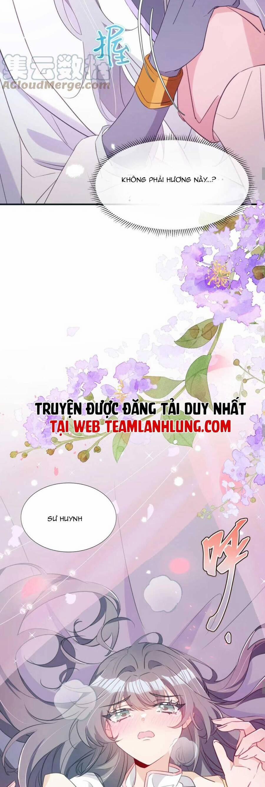 Sư Huynh Phản Diện Bắt Ta Hoàn Lương Chương 18 Trang 12