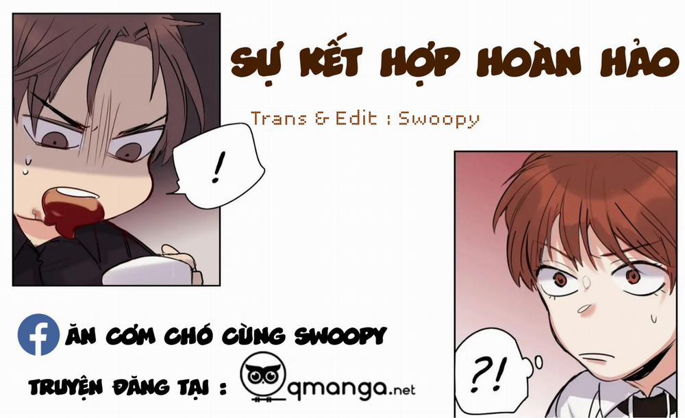 Sự Kết Hợp Hoàn Hảo End Chương 3 Trang 1