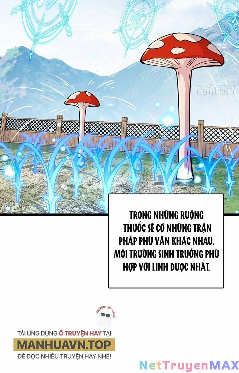 Sư Phụ Của Ta Mỗi Khi Đến Đại Nạn Mới Đột Phá 58 trang 49