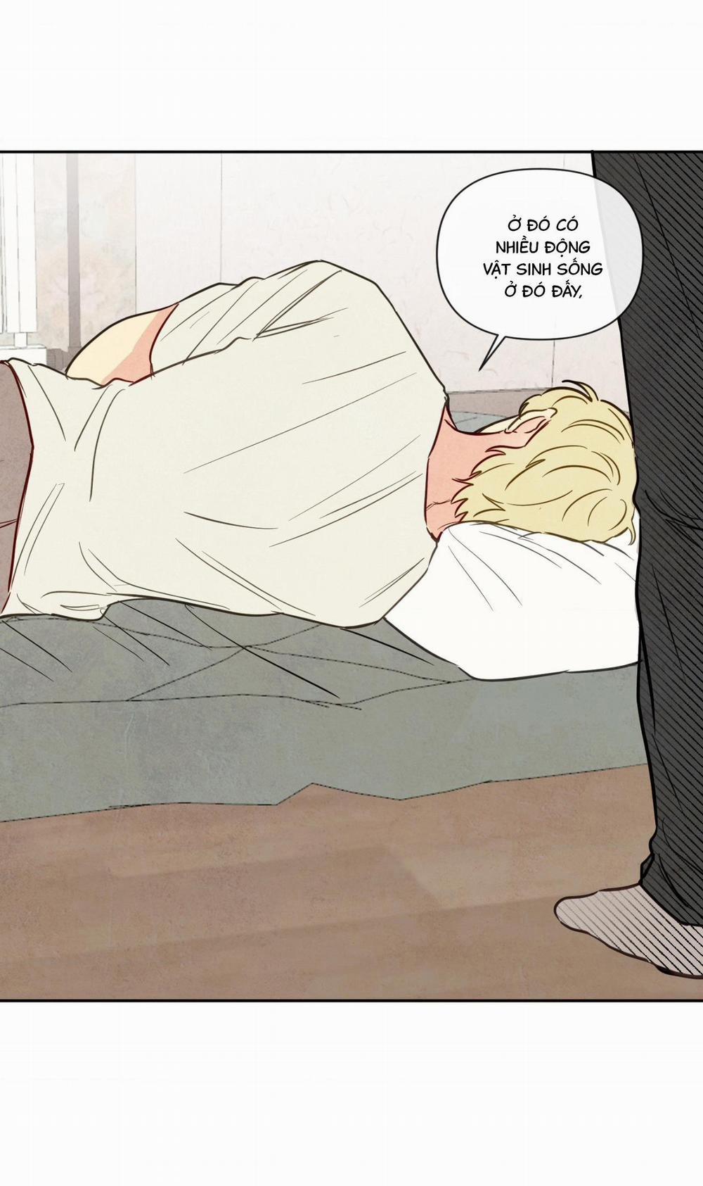 Sự Quyến Rũ Của Thần Rắn 15 trang 13