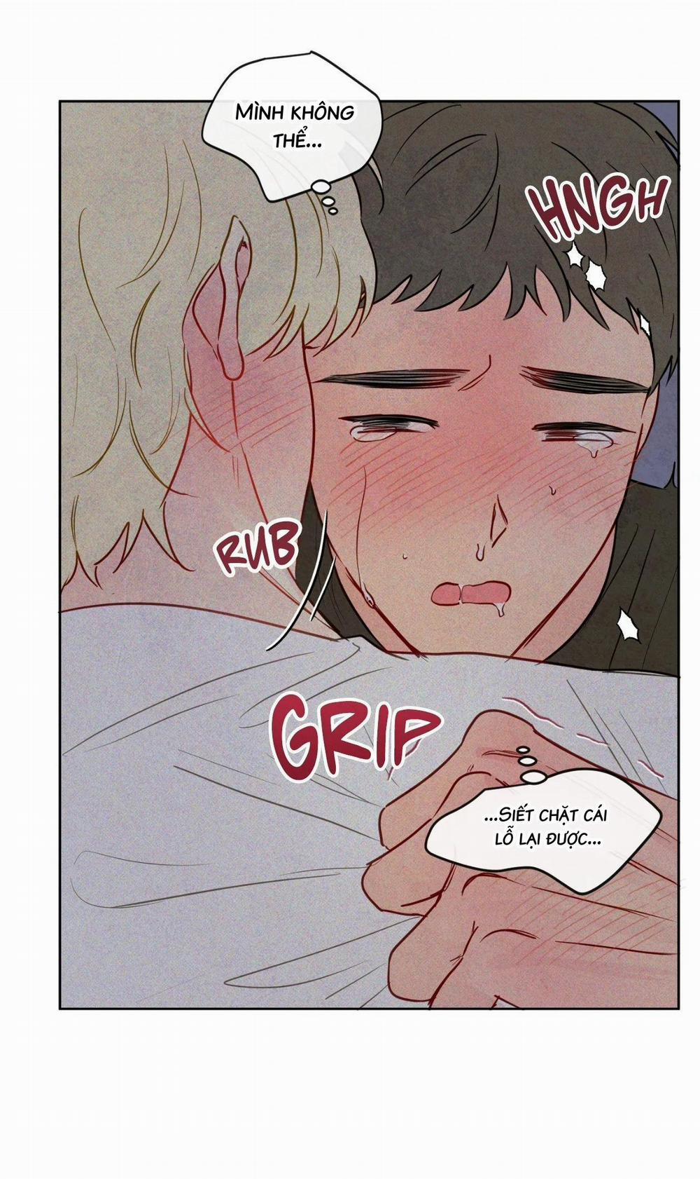 Sự Quyến Rũ Của Thần Rắn 19 hạchiennhom trang 21