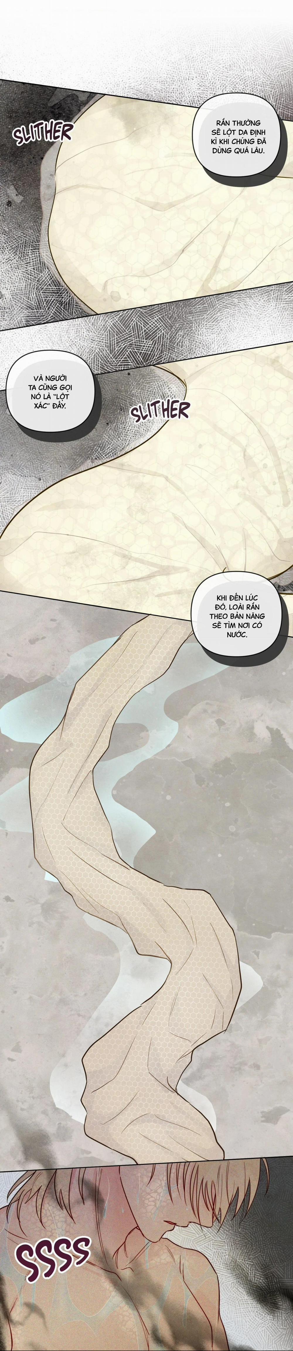 Sự Quyến Rũ Của Thần Rắn 22 hạchiennhom trang 36