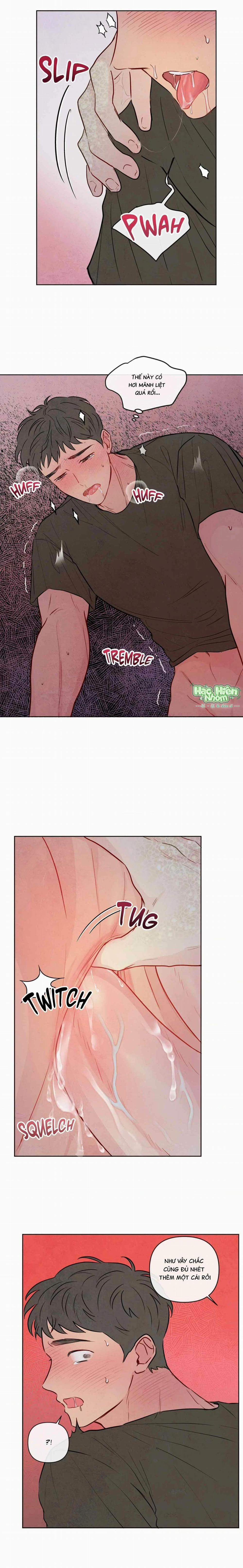 Sự Quyến Rũ Của Thần Rắn 24 trang 11