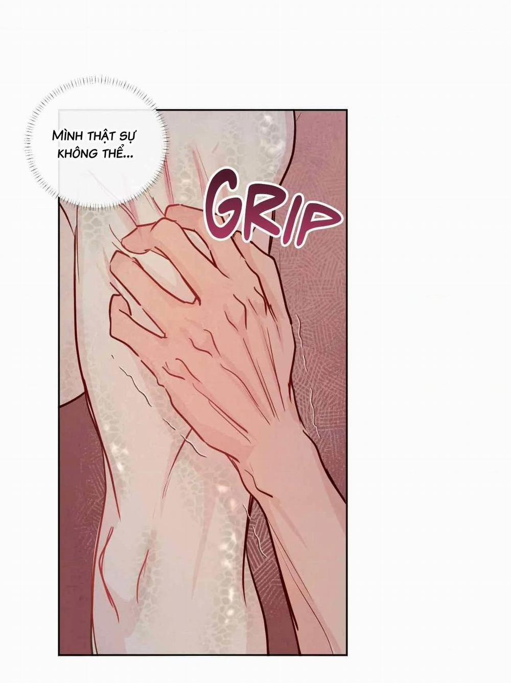 Sự Quyến Rũ Của Thần Rắn 25 hachiennhom trang 42