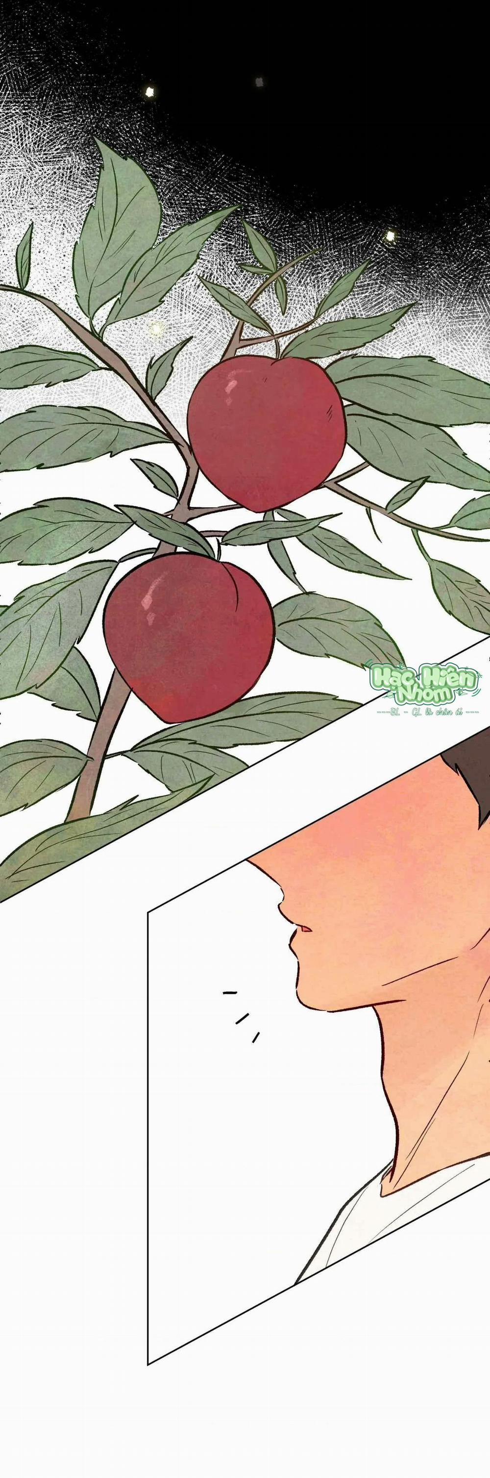 Sự Quyến Rũ Của Thần Rắn 25 hachiennhom trang 49