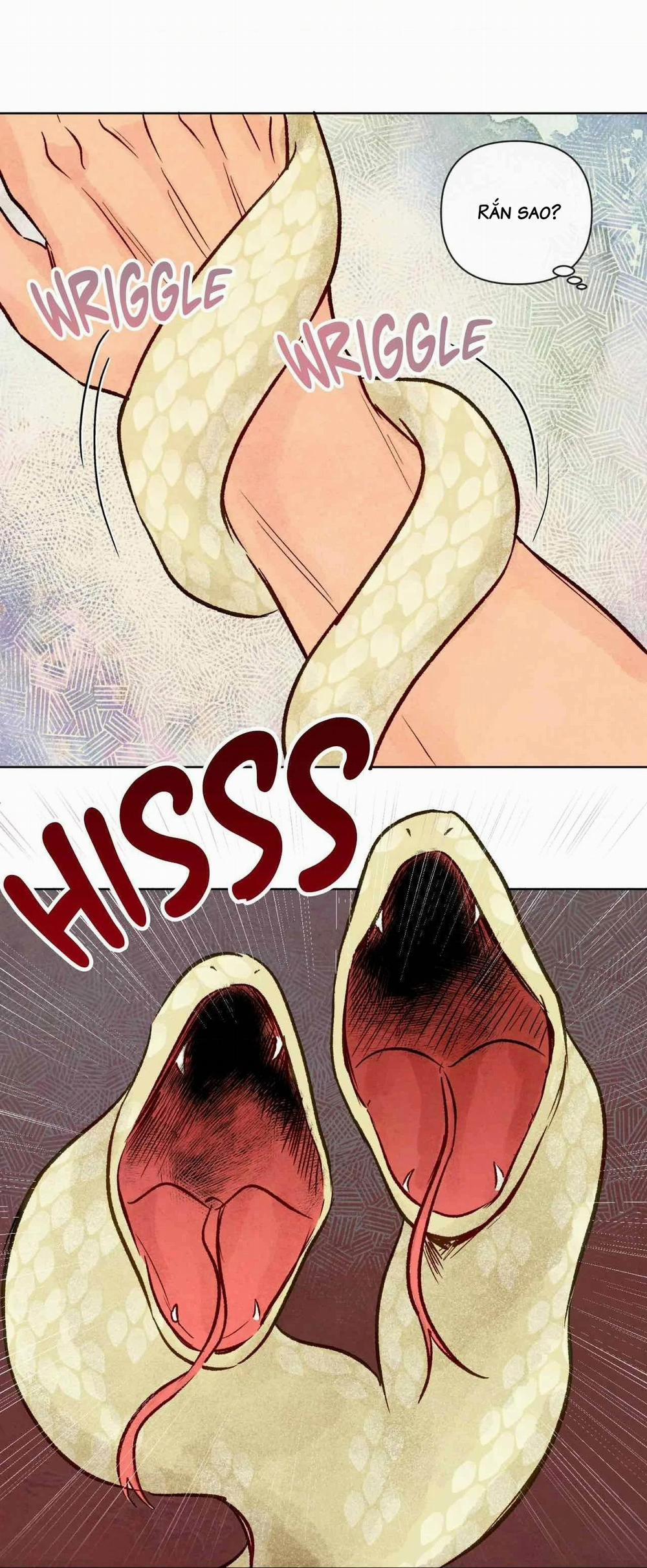 Sự Quyến Rũ Của Thần Rắn 25 hachiennhom trang 55