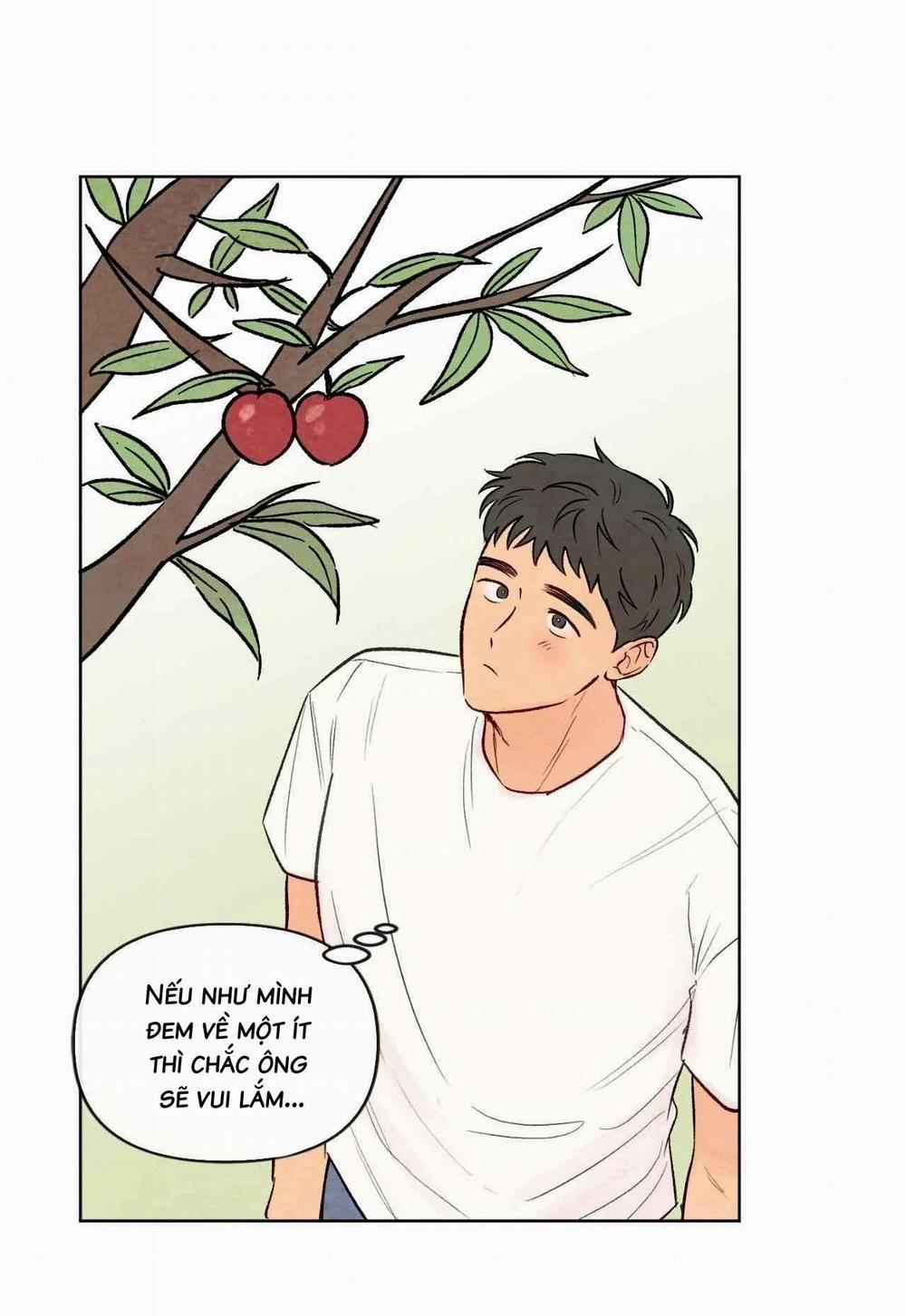 Sự Quyến Rũ Của Thần Rắn 25 trang 52