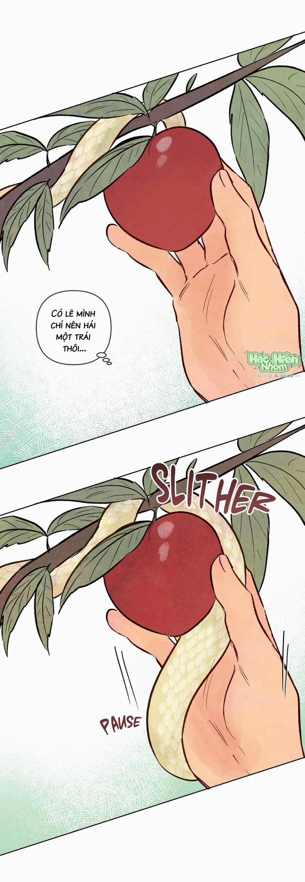 Sự Quyến Rũ Của Thần Rắn 25 trang 53