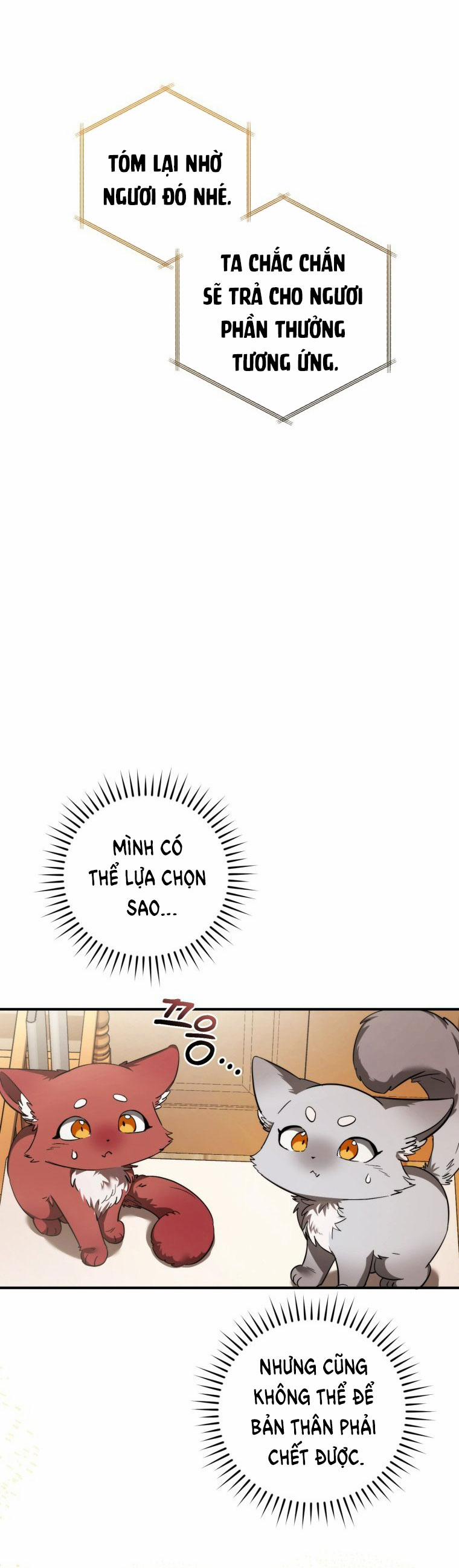 Sự Ra Đời Của Một Anh Hùng 121.2 trang 37