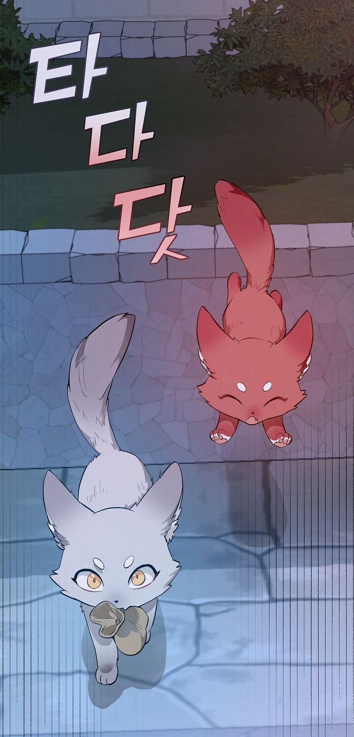 Sự Ra Đời Của Một Anh Hùng 16 trang 55