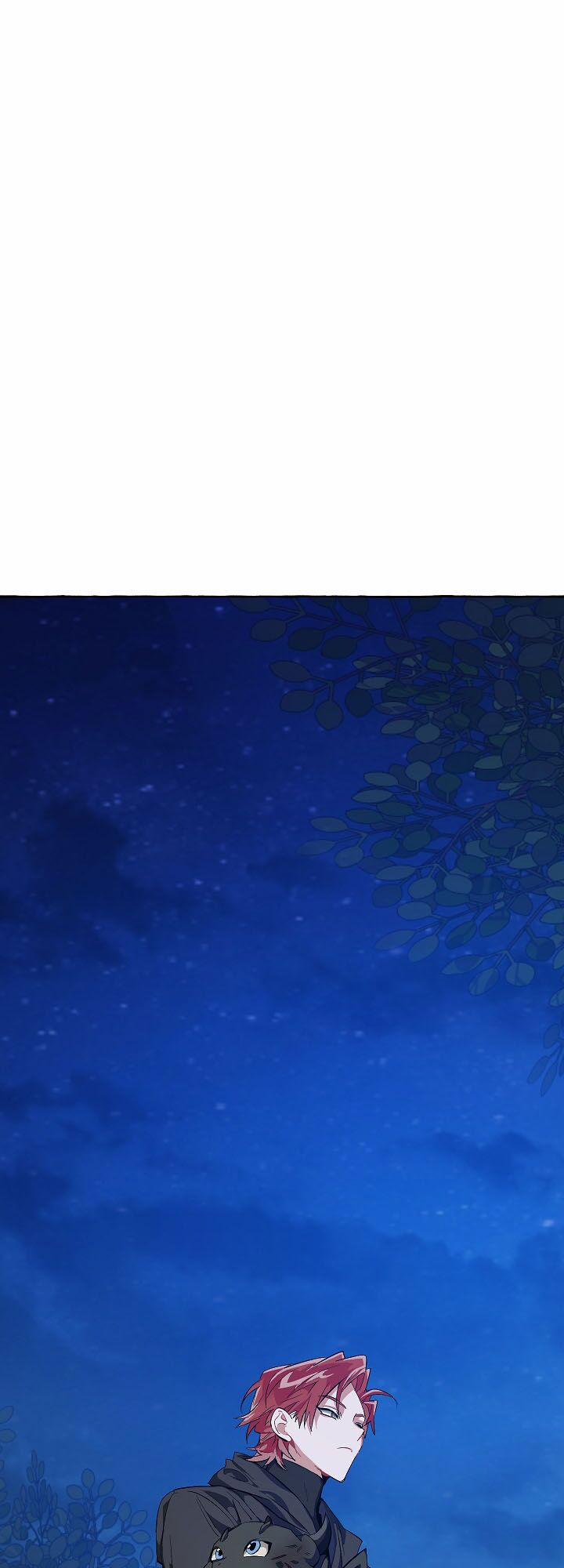 Sự Ra Đời Của Một Anh Hùng 19 trang 38