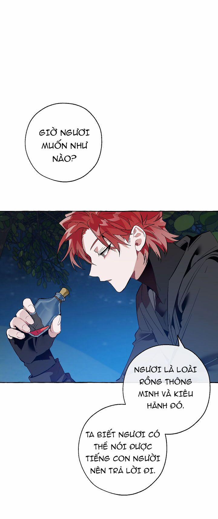 Sự Ra Đời Của Một Anh Hùng 20 trang 21