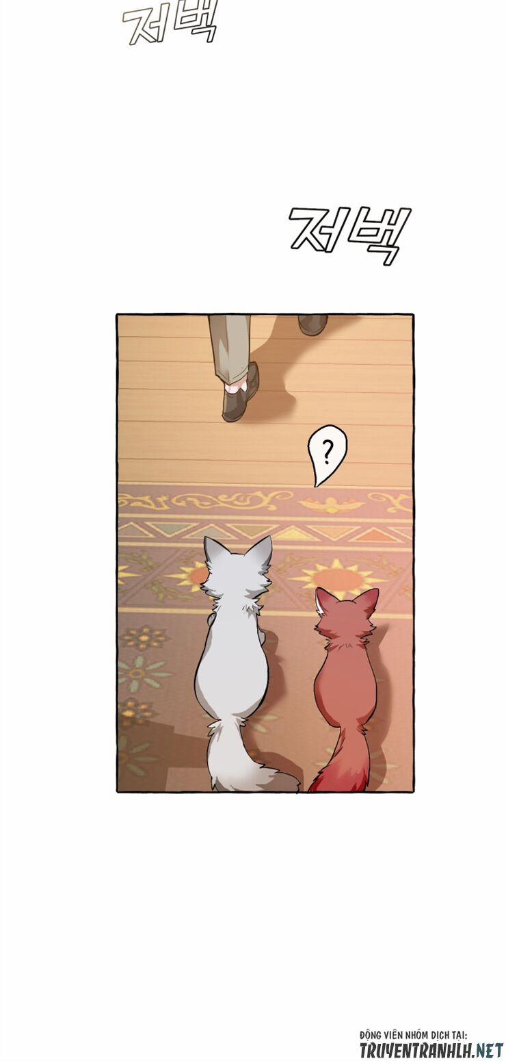 Sự Ra Đời Của Một Anh Hùng 23 trang 38