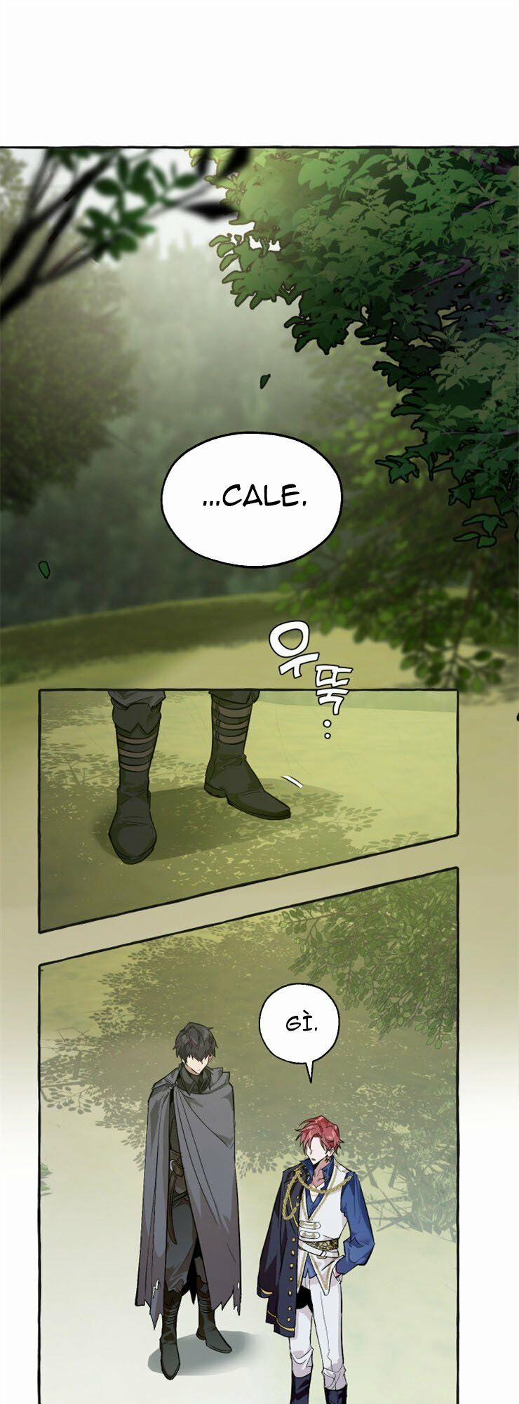 Sự Ra Đời Của Một Anh Hùng 25 trang 13