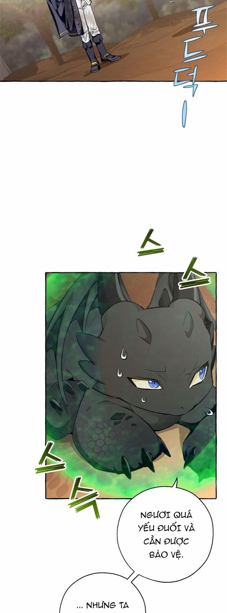 Sự Ra Đời Của Một Anh Hùng 27 trang 14