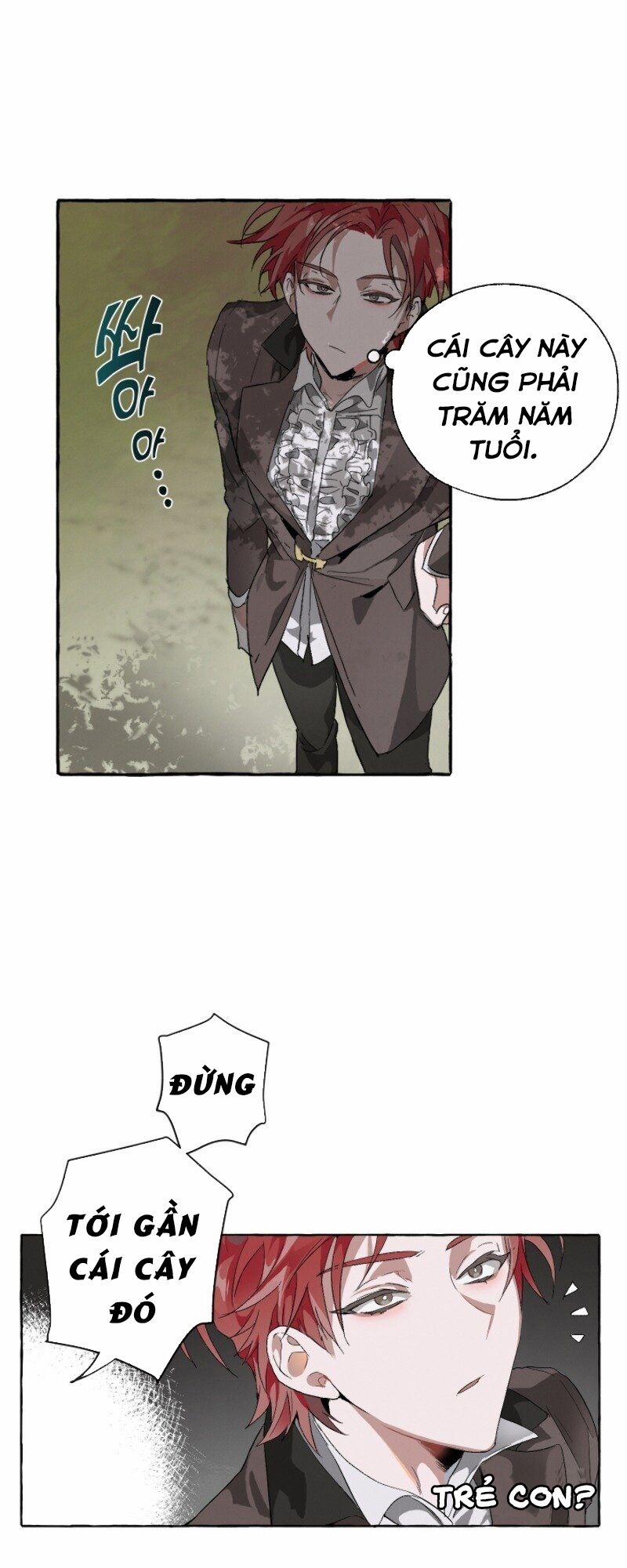 Sự Ra Đời Của Một Anh Hùng 3 trang 22