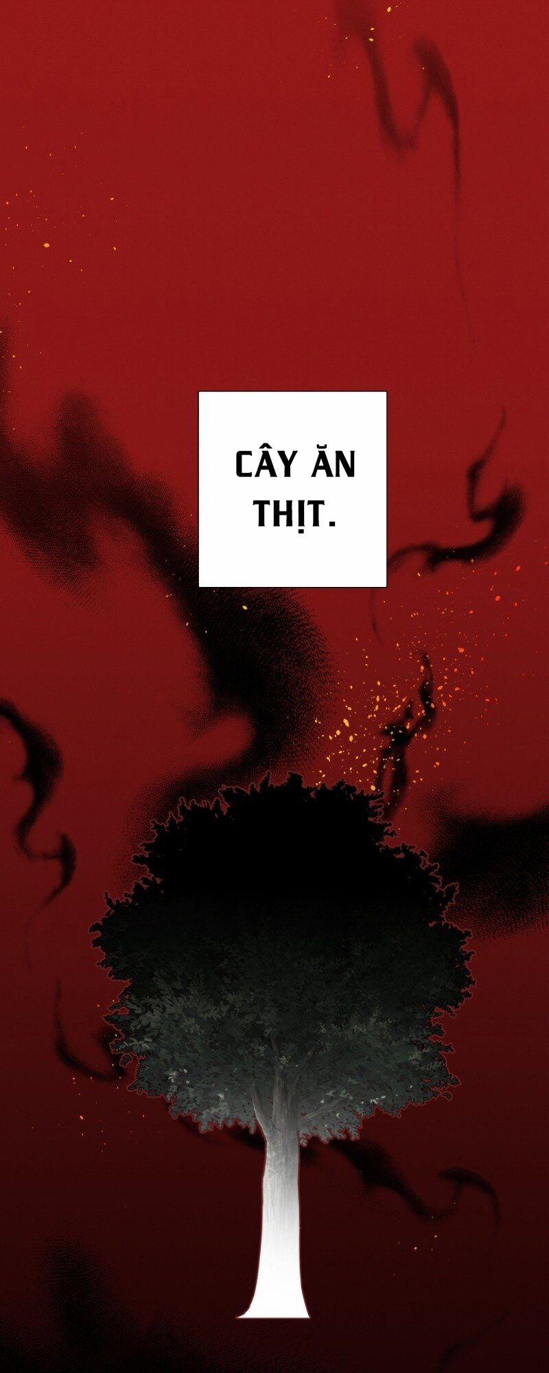 Sự Ra Đời Của Một Anh Hùng 3 trang 25