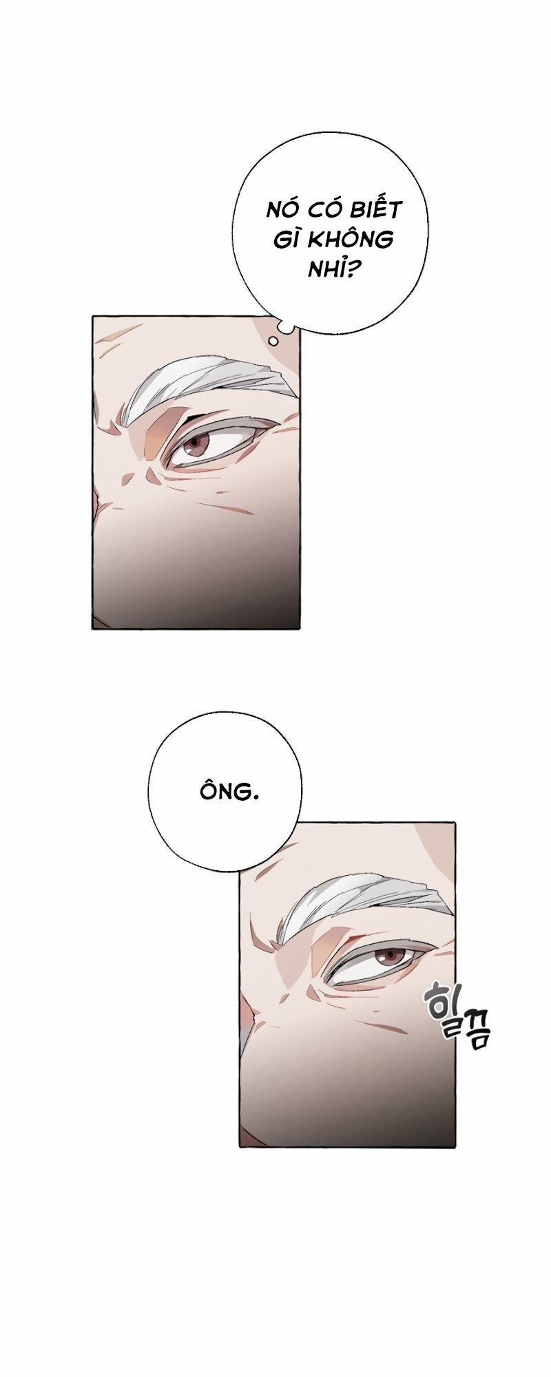 Sự Ra Đời Của Một Anh Hùng 6 trang 38