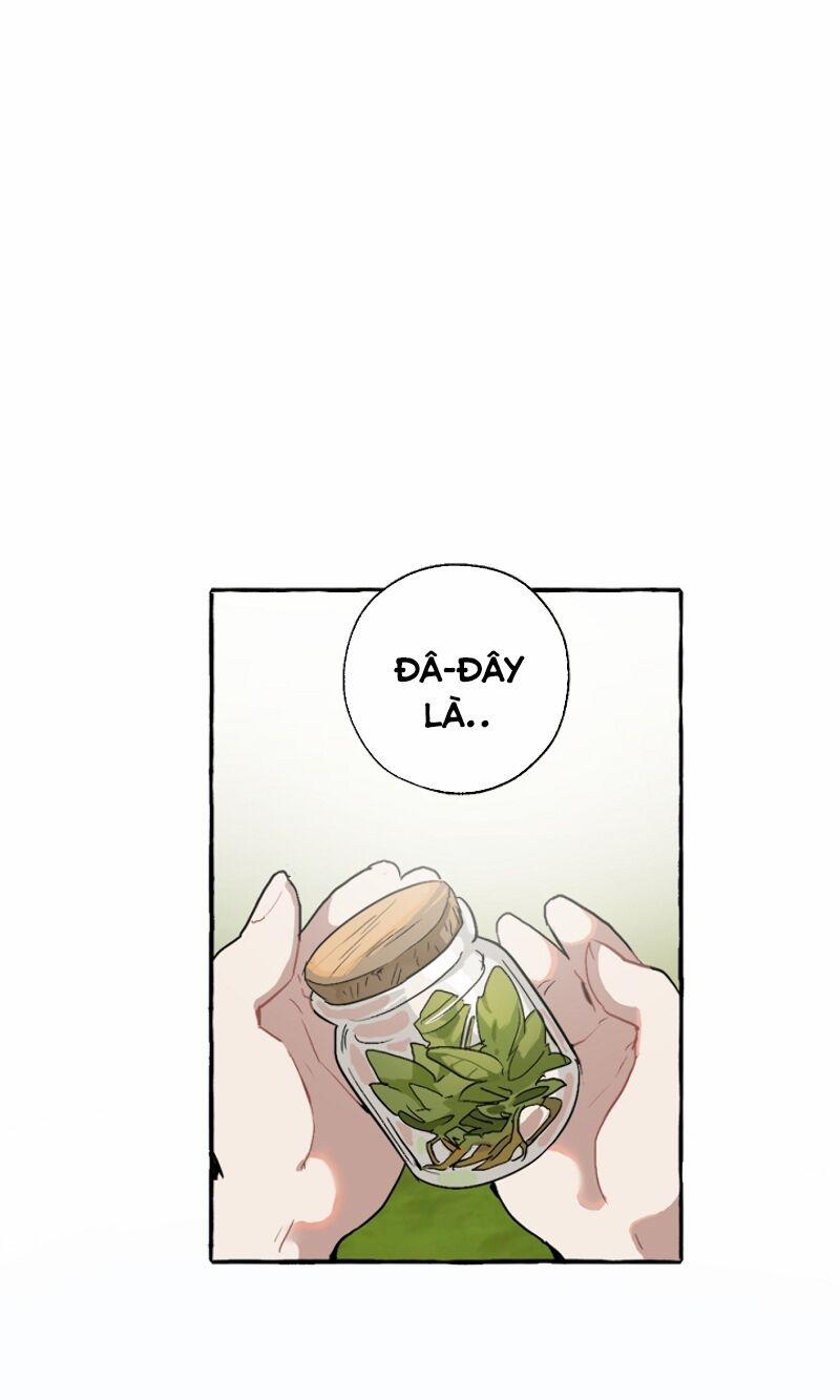 Sự Ra Đời Của Một Anh Hùng 7 trang 23