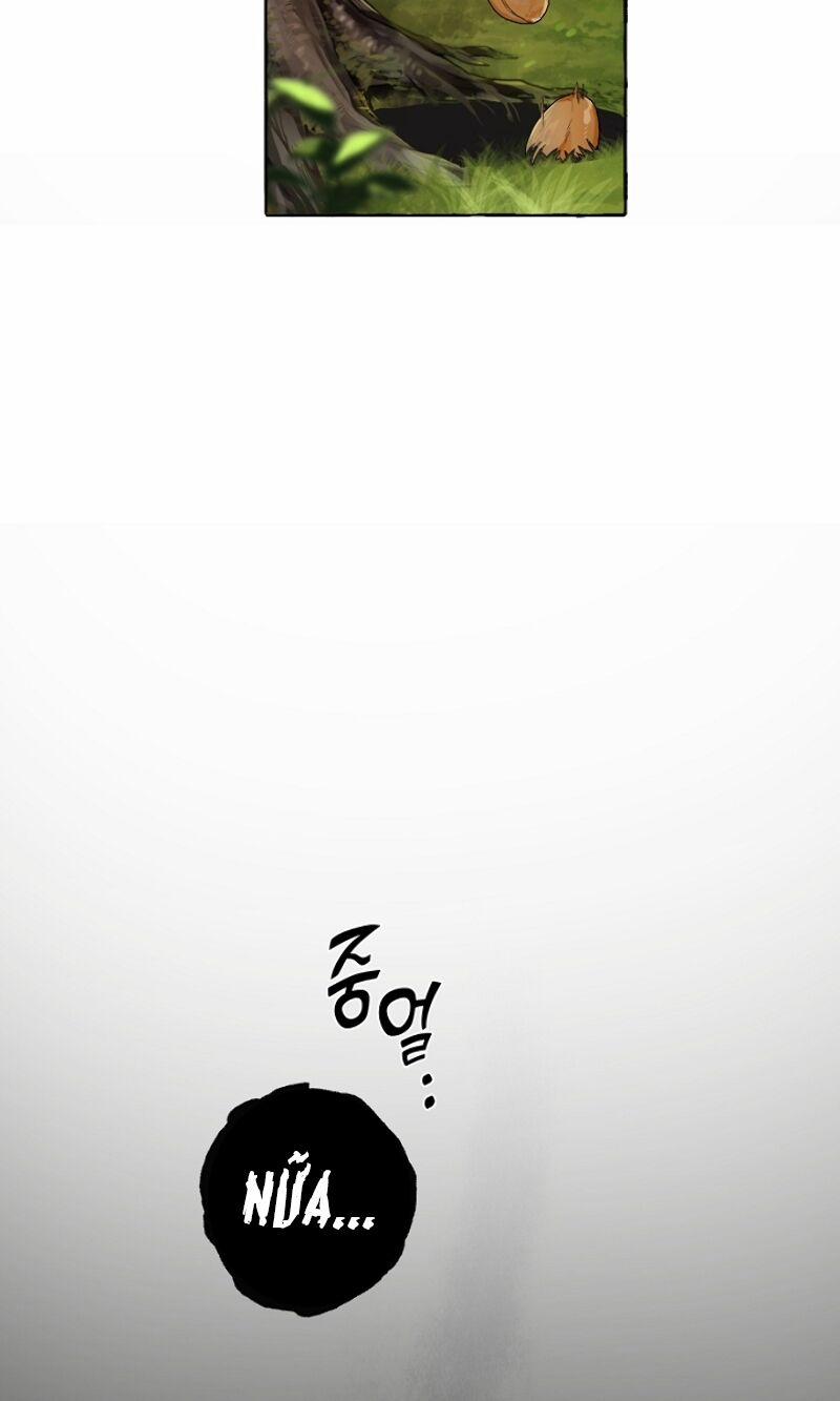 Sự Ra Đời Của Một Anh Hùng 7 trang 5