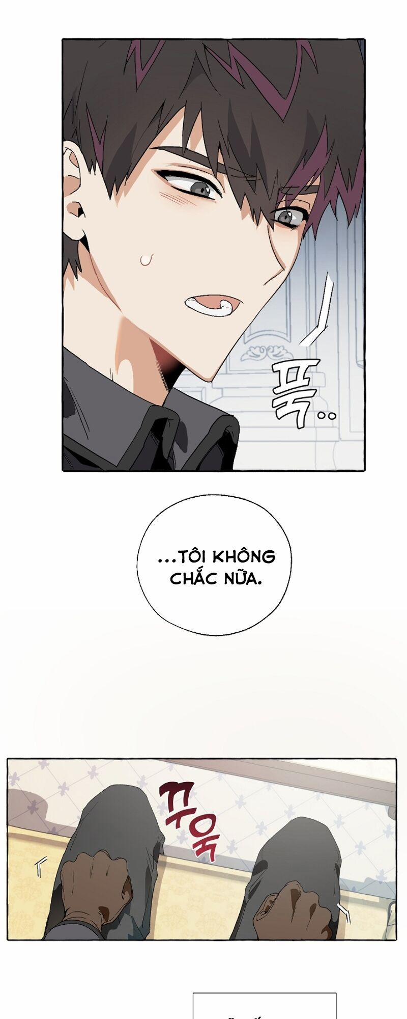 Sự Ra Đời Của Một Anh Hùng 8 trang 13