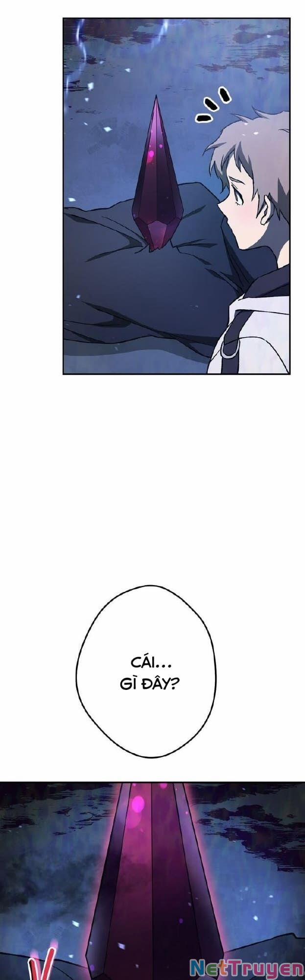 Sự Sống Sót Của Kẻ Chiêu Hồn 3 trang 13