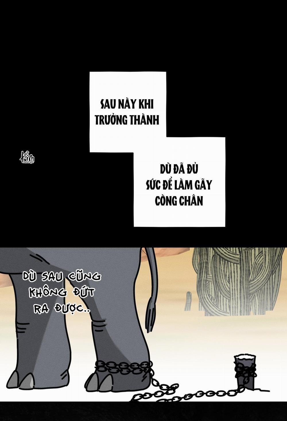 Sự Tham Lam Của Nhân Loại 14.1 CÙM VOI 1 trang 21